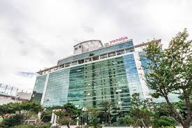 놀유니버스 에버랜드 정기권 365 스탠다드