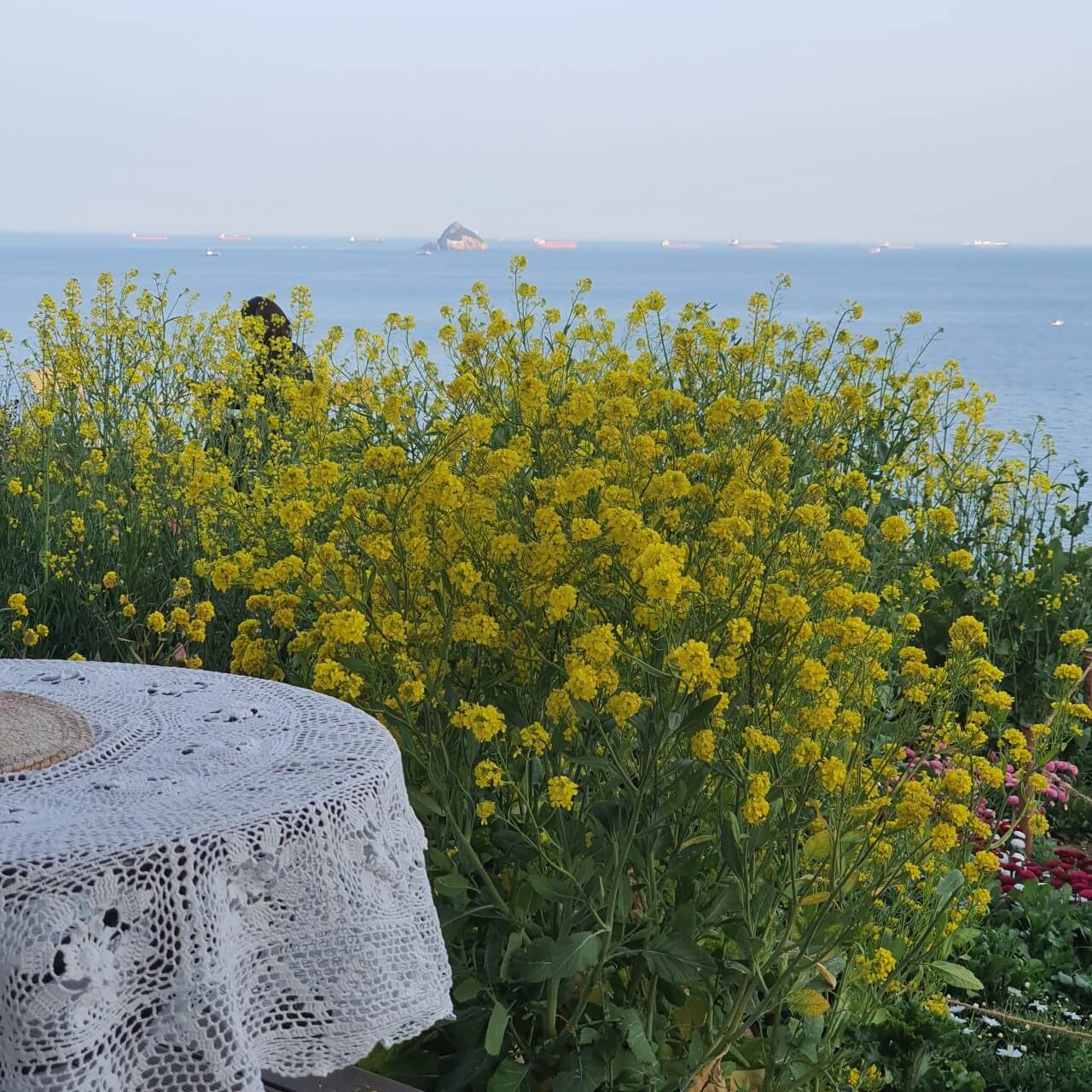 생생정보 두 집 살림 카페 순이로 남해 한 달 살아보기 카페 톨 생생정보 2299회