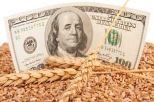 무역 보조금 이미지