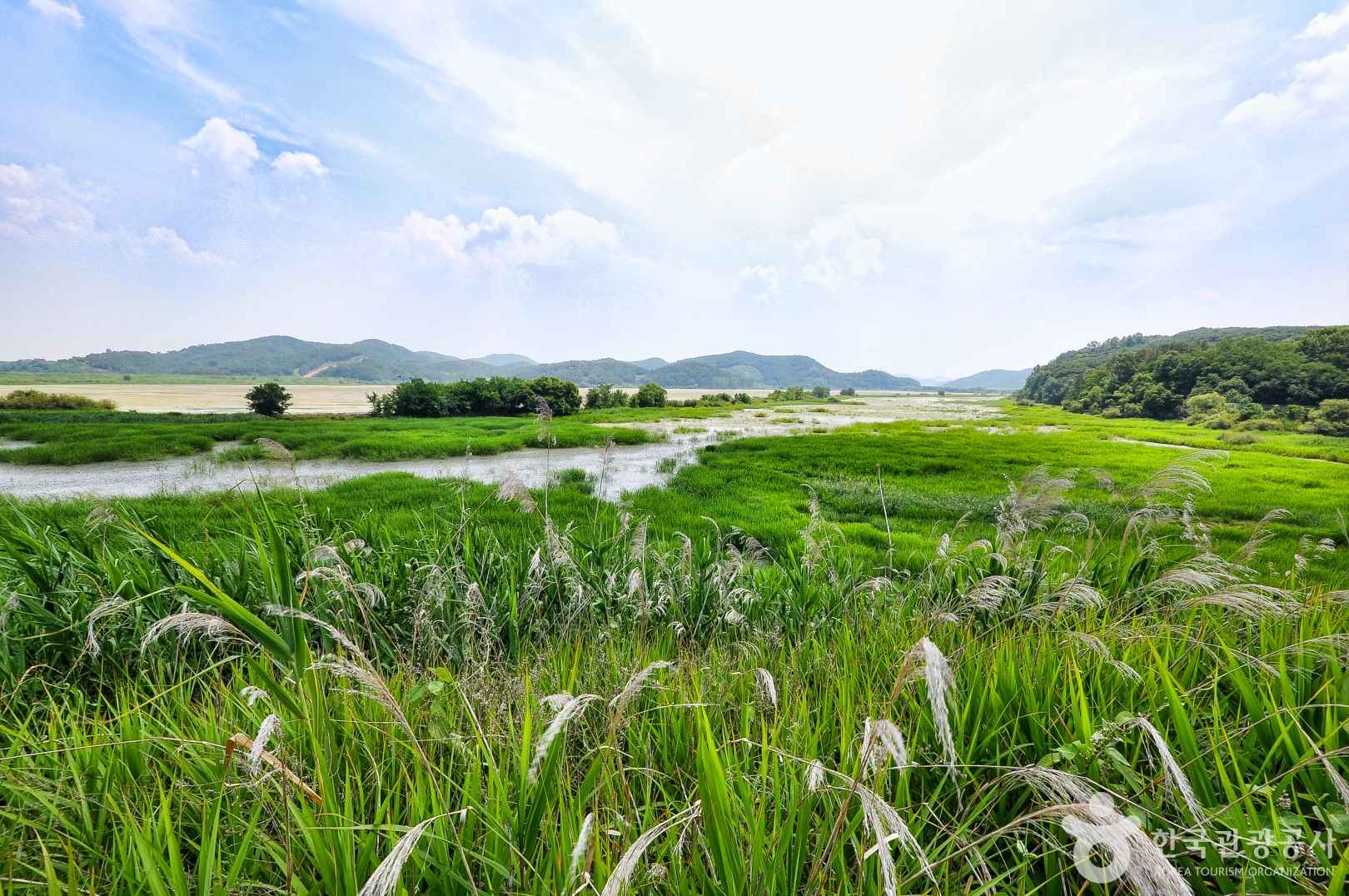 창녕 우포늪 생태공원