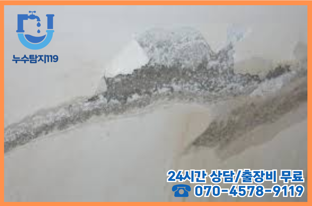 신동 주택, 상가 건물 화장실2