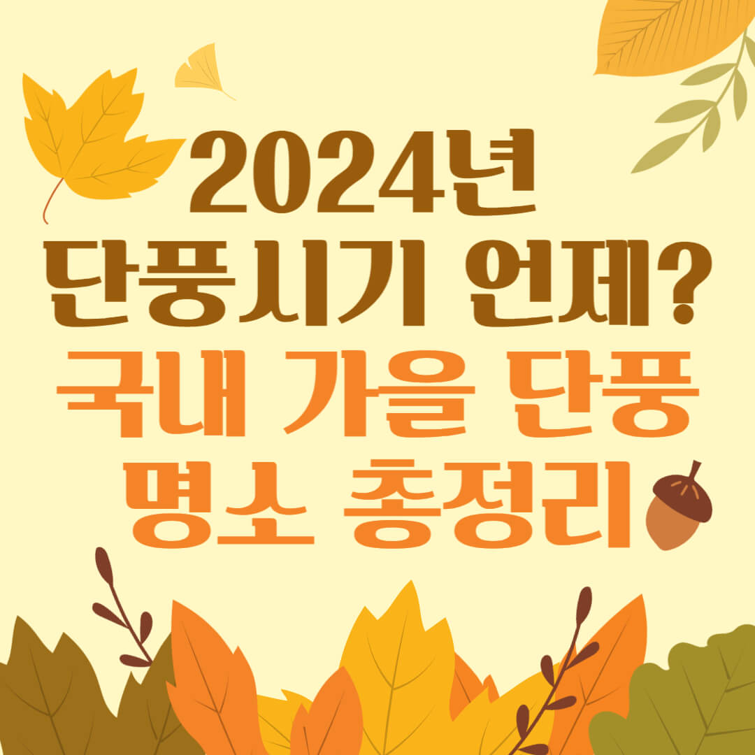 2024년 가을 단풍시기