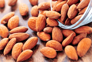 아몬드효능17