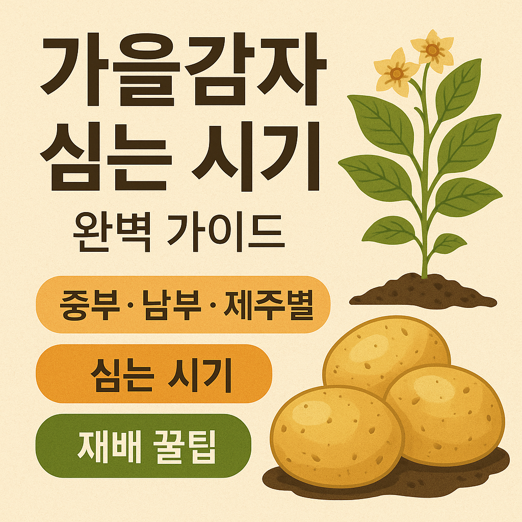 가을감자 심는시기 썸네일