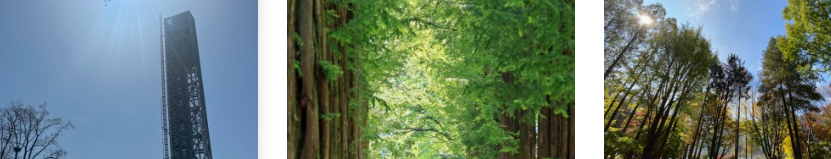 대한민국 발리 가평 남이섬 모습