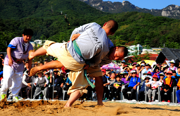 승시 씨름하는모습 사진출처 동화사홈체이지