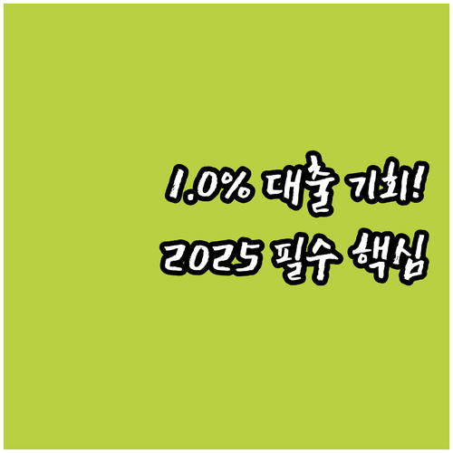 최저 연 1.0% 금리 2025 버팀..