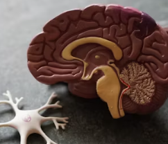 치매 초기증상 8가지 원인과 예방법