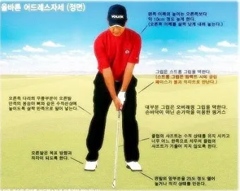 골프 초보 드라이버 추천_5