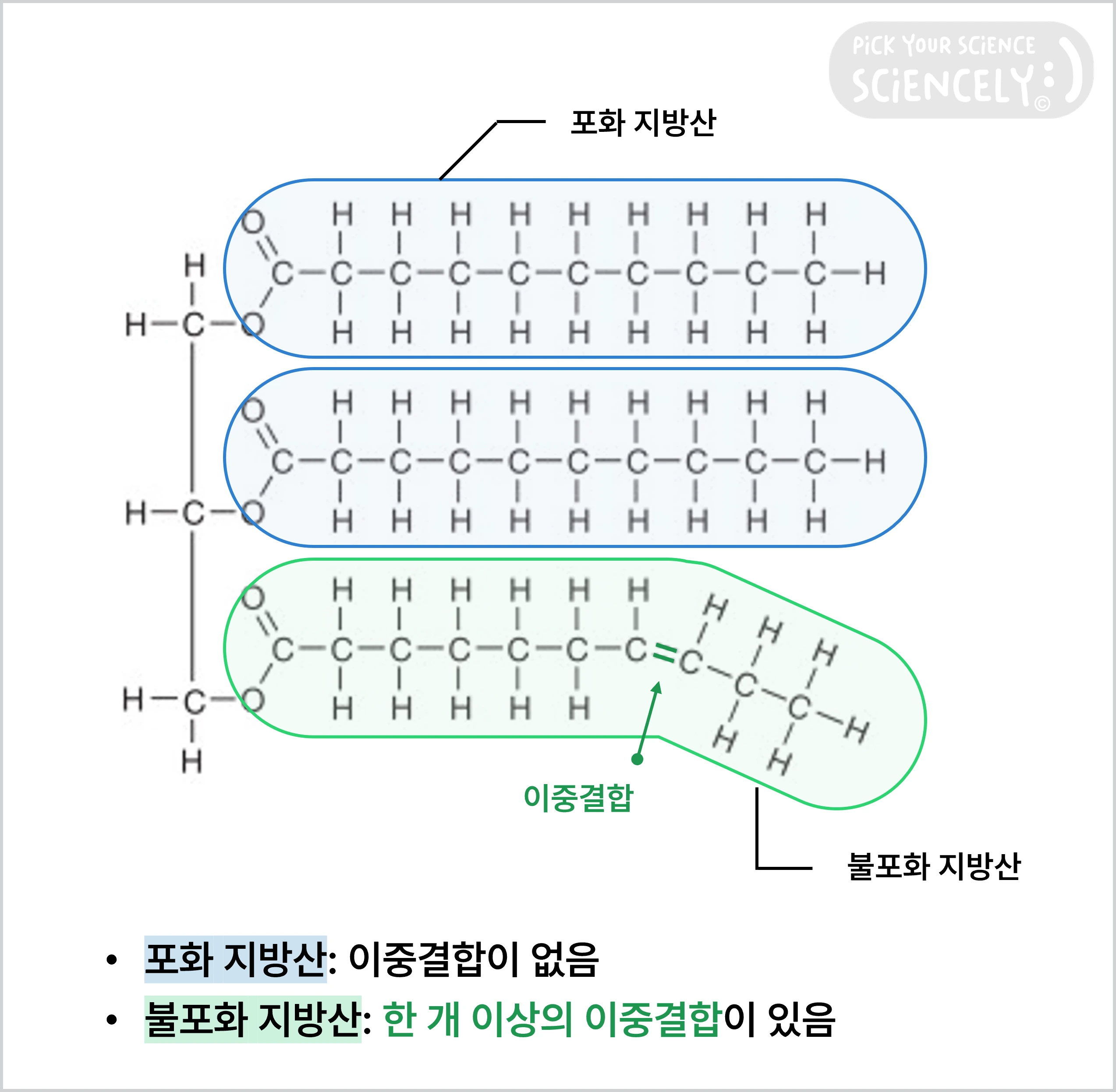 포화 지방산, 불포화 지방산, 이중 결합