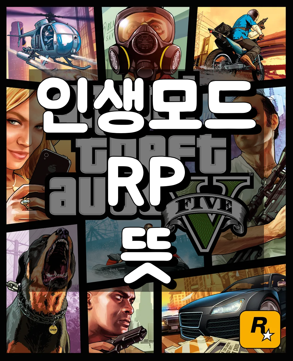 인생모드 RP 뜻