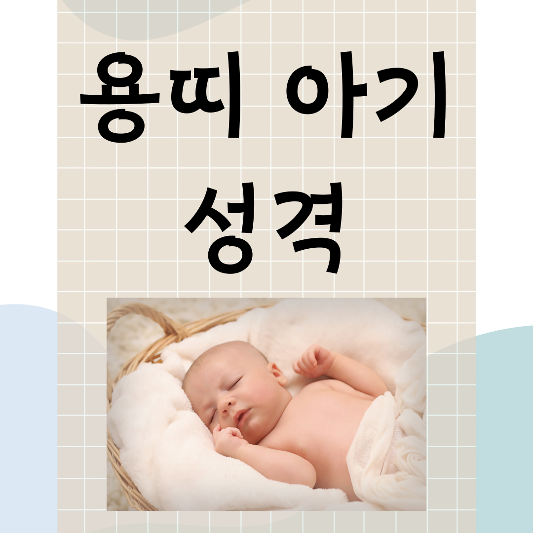 2024년 띠