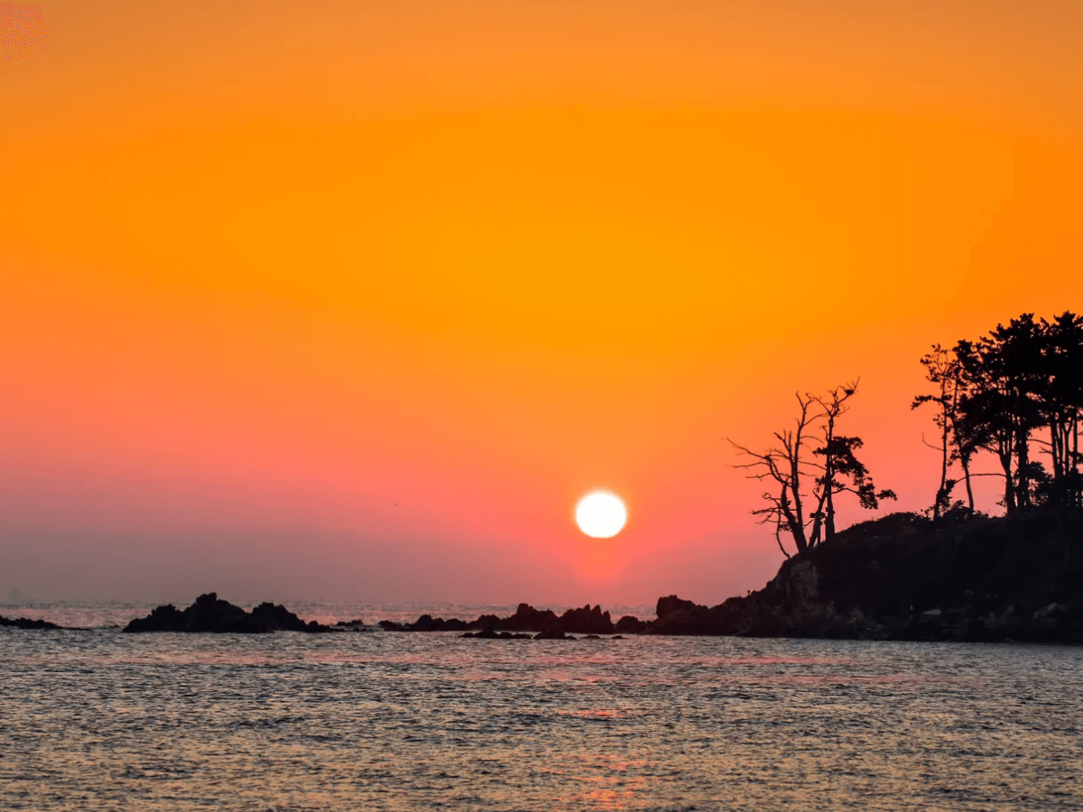 1월 1일 일출 여행