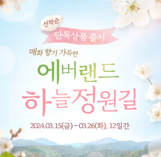 에버랜드셔틀버스시간표