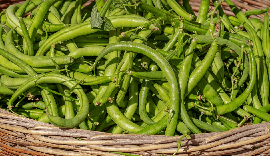 식이섬유가 많은 음식 - 10130