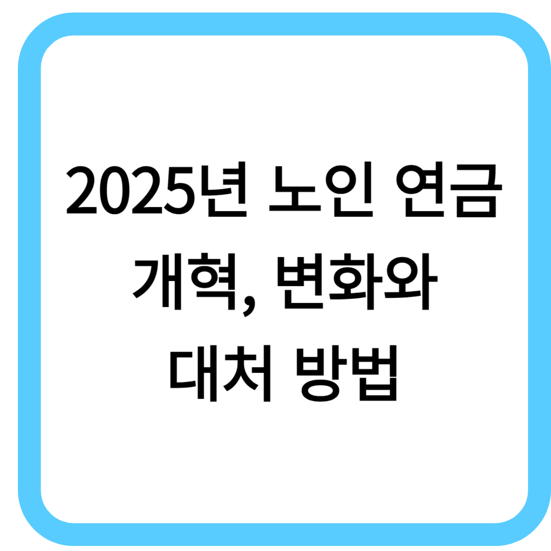 노인 연금 개혁