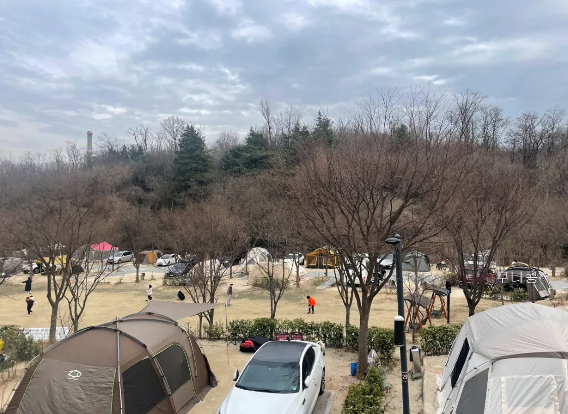 여름-캠핑-필수템-냉장고-vs-아이스박스-어떤게-더-쓸만할까?