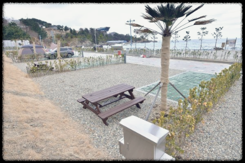 장호비치사이트