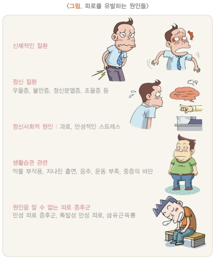 피로를 유발하는 원인 - 질병관리청