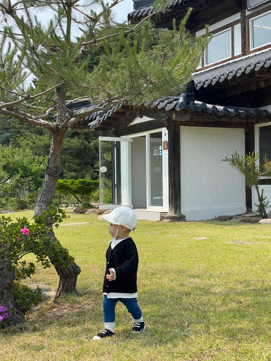 삼척 카페 추천 한옥카페 오시