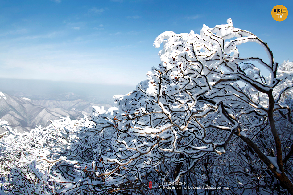 태백산 등산 3 코스