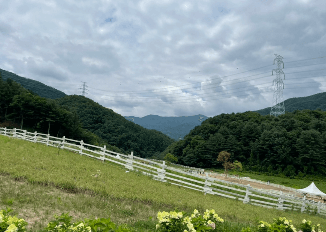 가평-양떼목장