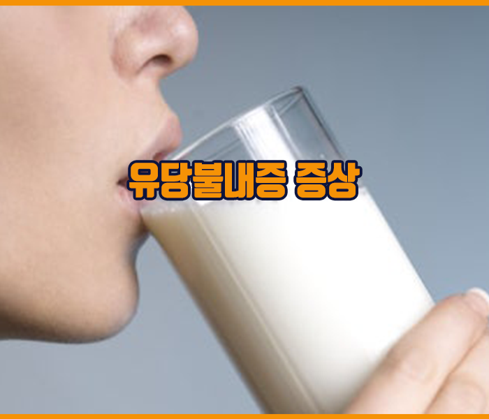 유당불내증 증상 - 복부 팽만감과 복통, 설사와 소화불량