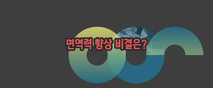 황기 효능 자세히 알아볼게요