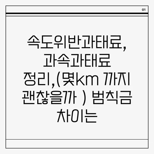 속도위반과태료, 과속과태료 정리,(몇km 까지 괜찮을까 ) 범칙금 차이는