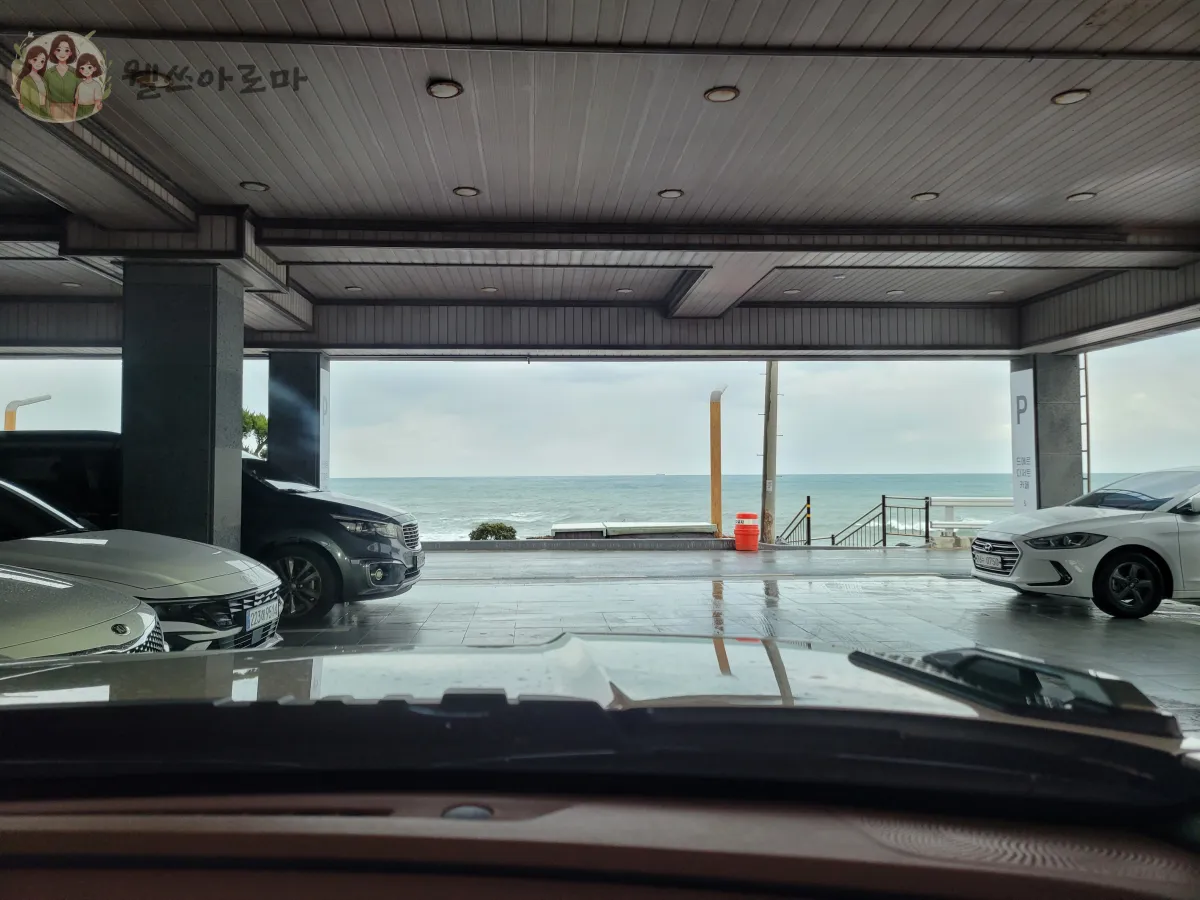 카페드메르-뒤쪽주차장에서본바다