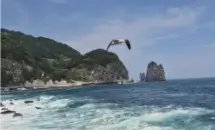 독도 못갈 때 울릉도 대체 관광 코스 안내