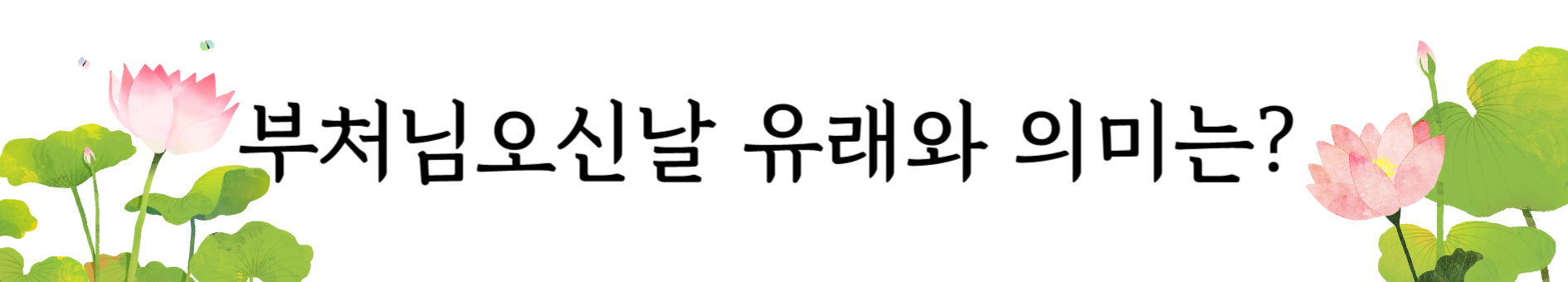 유래와의미