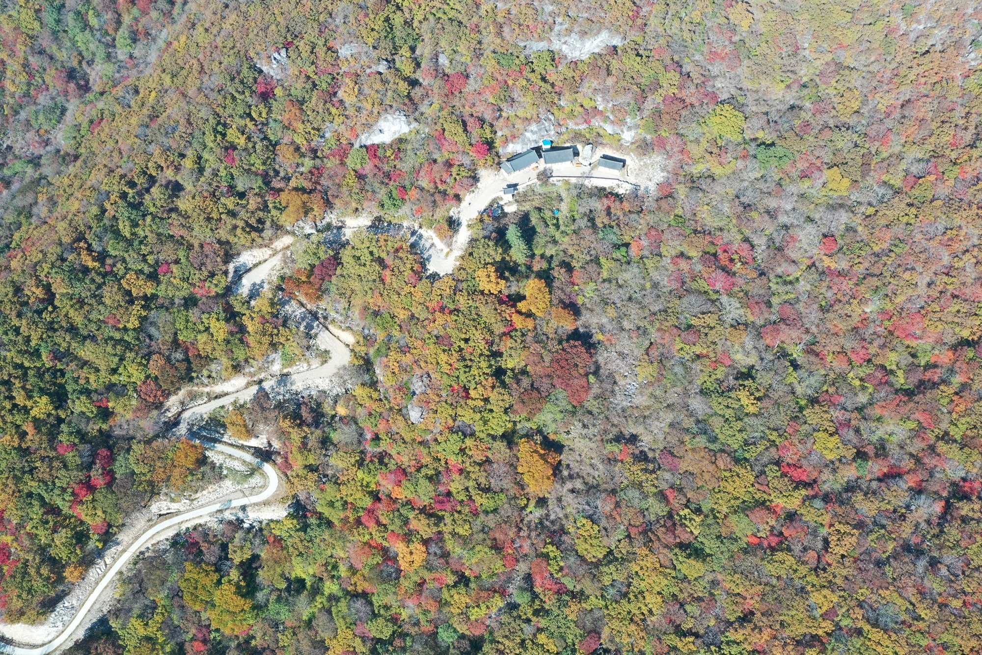 광양 관광지 추천 여행코스 추천