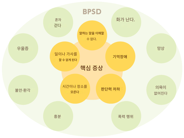 알츠하이머 치매 증상 원인 차이