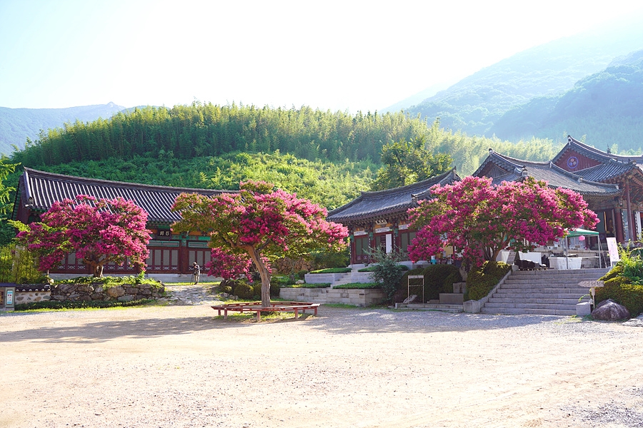 밀양 표충사