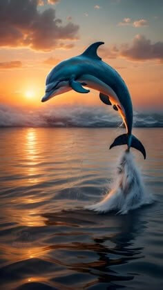 노을진-바닷가에서-돌고래가-물위로-뛰어오르는-모습