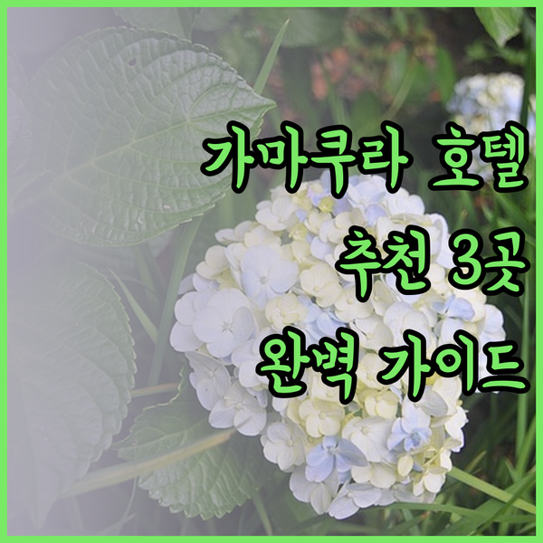 가마쿠라 여행 호텔 추천 세 곳 비교