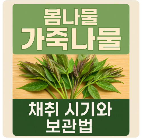 향긋한 봄의 선물, 가죽나물 채취 시기와 신선하게 보관하는 방법