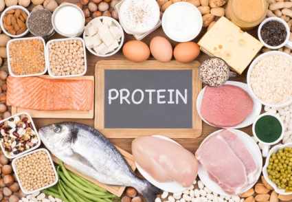단백질이 풍부한 식품