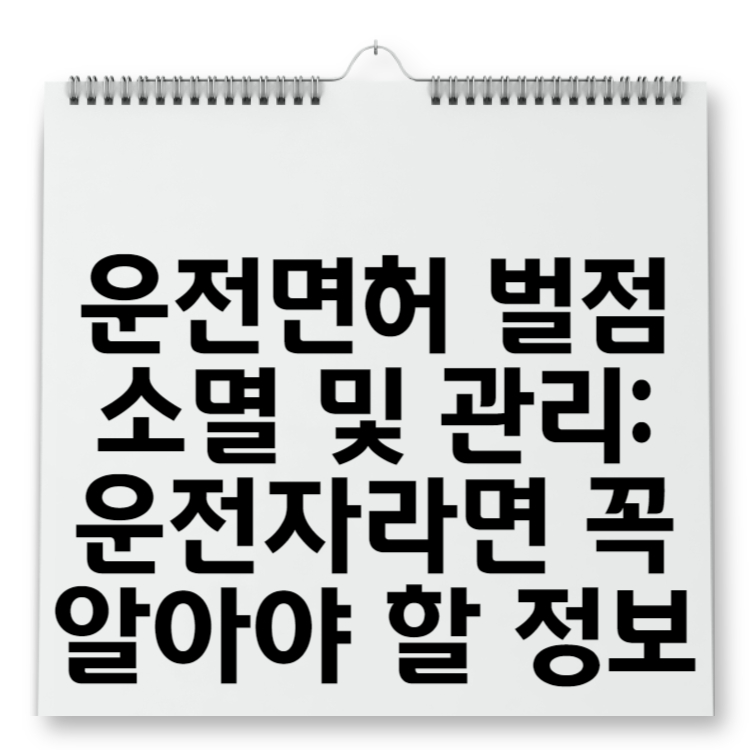 운전면허 벌점 소멸 및 관리 운전자라면 꼭 알아야 할 정보
