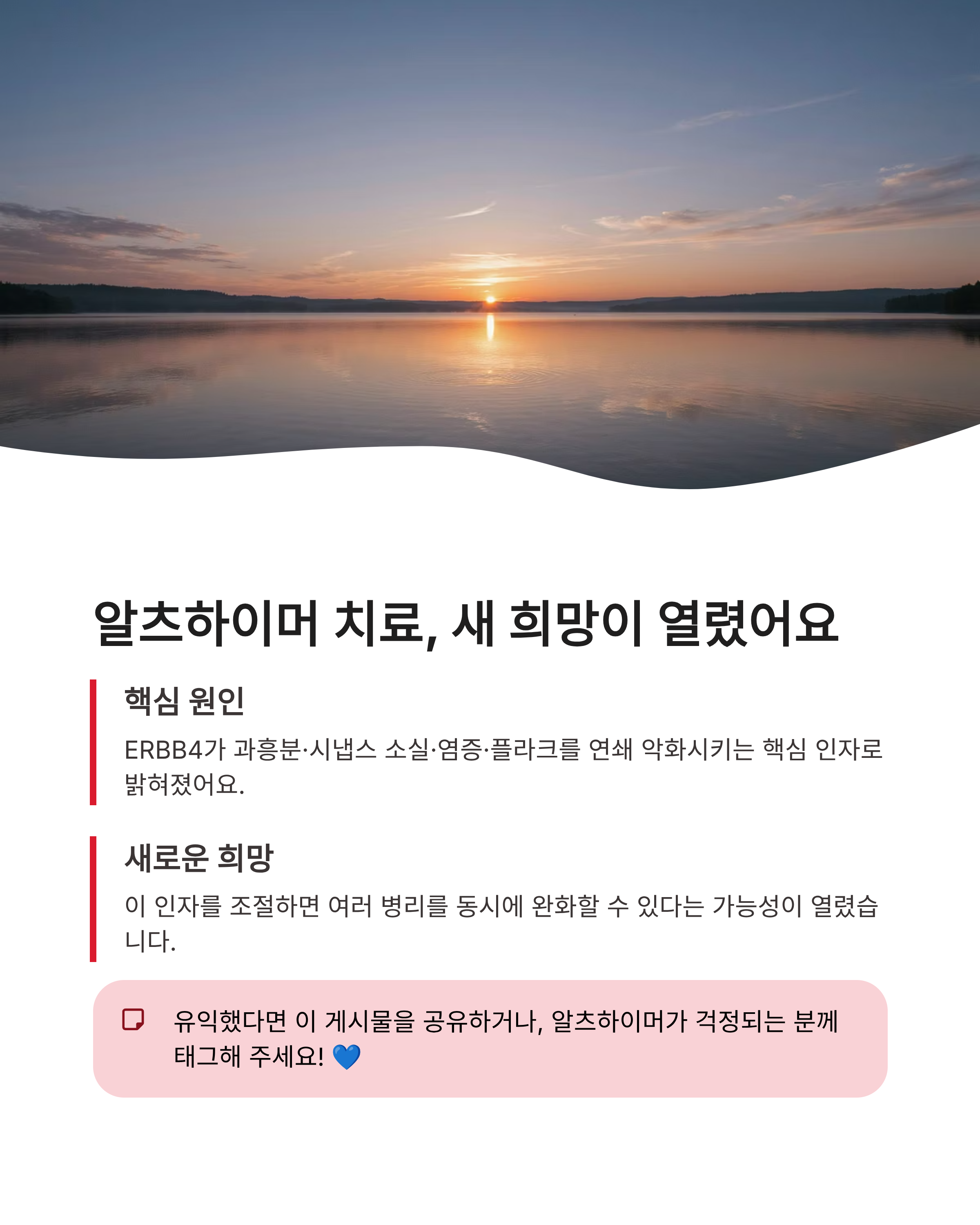 알츠하이머원인 치료제 증상완벽정리!국내 연구진이밝힌 새로운 희망