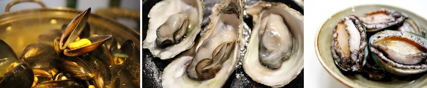 홍합-굴-전복