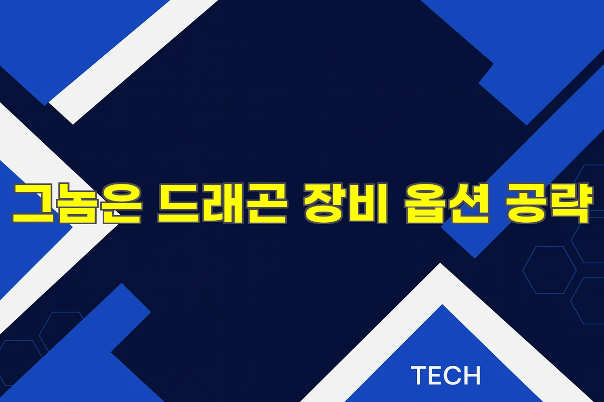 그놈은 드래곤 장비 옵션 공략