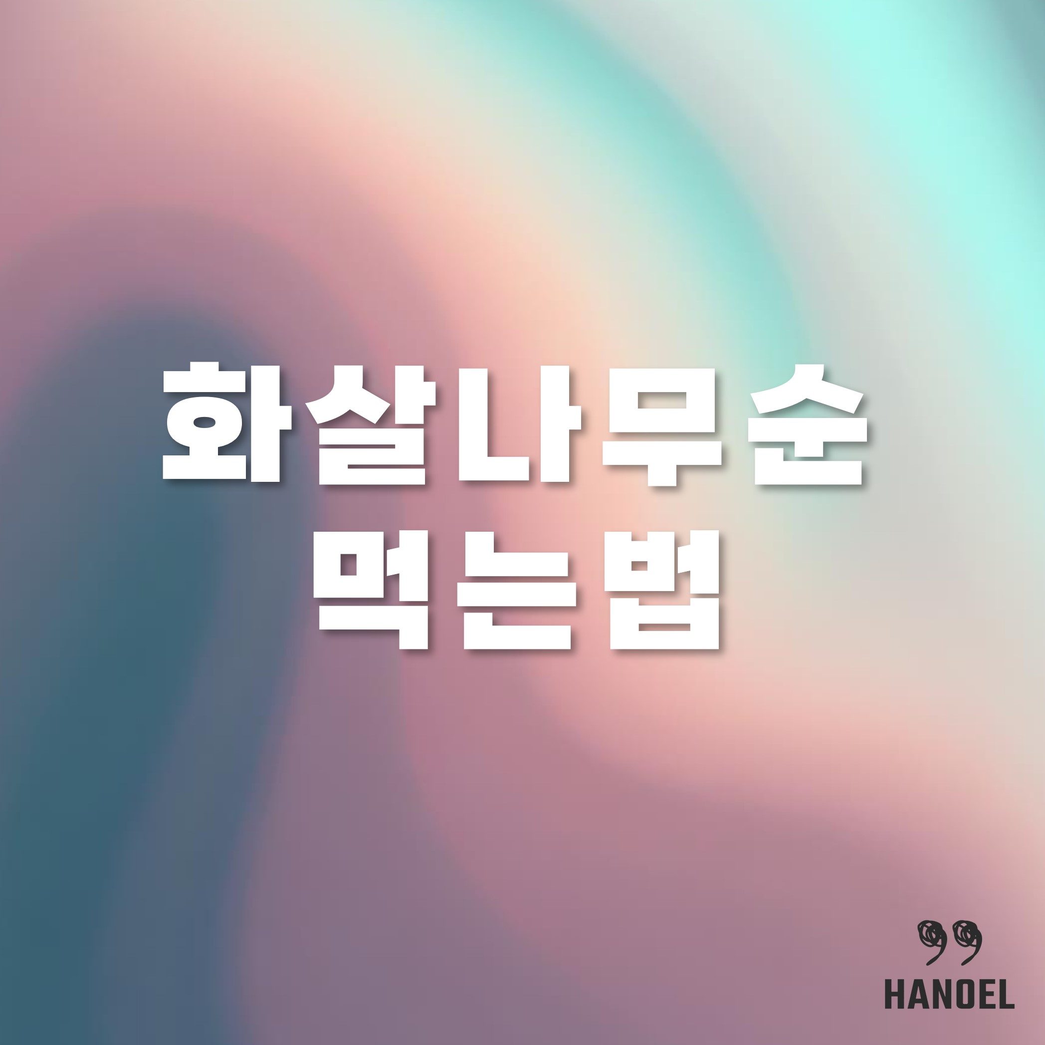 화살나무순 효능과 순나물 해먹기 먹는법 무침
