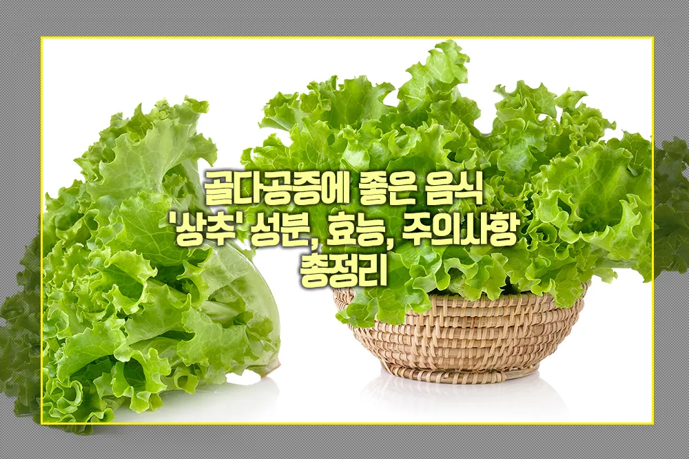 골다공증에 좋은 음식 상추 성분 효능 주의사항