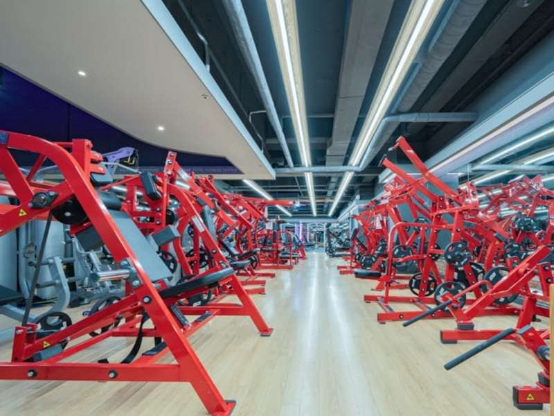 1. MVGym 소개
