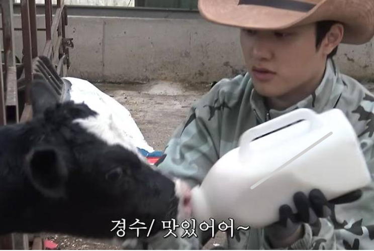 콩콩팜팜 이광수 김우빈 도경수 제주도 목장 예능 첫 방송 정리