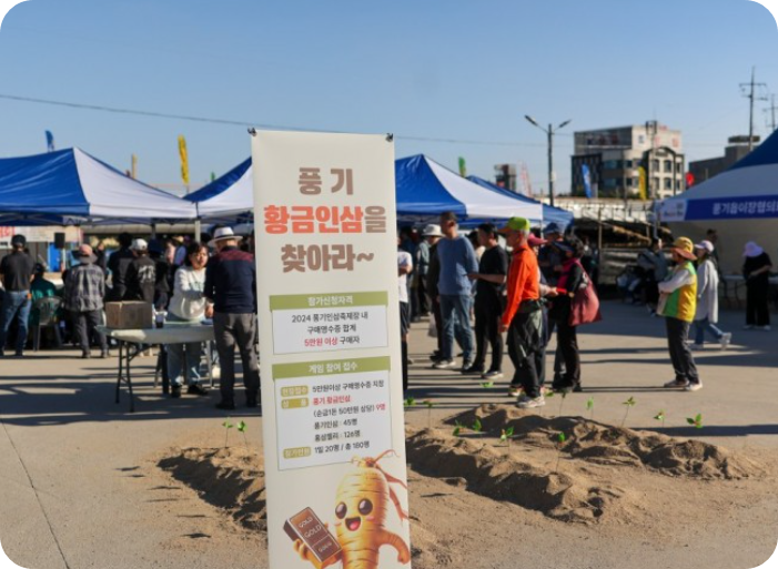 경북영주 풍기인삼축제 2025