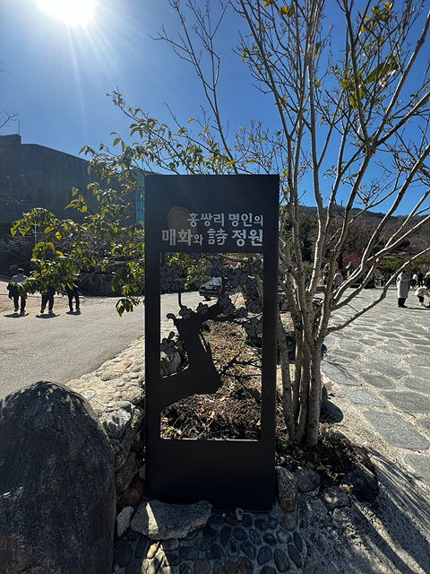 24년 광양 매화 축제 일정 요금 주차