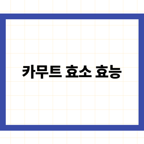 카무트 효소 효능